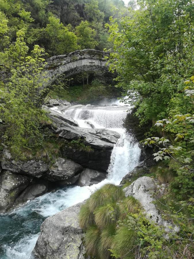 La Stella Delle Alpi Hotell Vico Canavese Exteriör bild